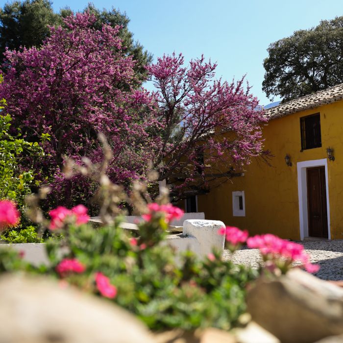 jardin_3
